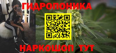 мдпв Рязань