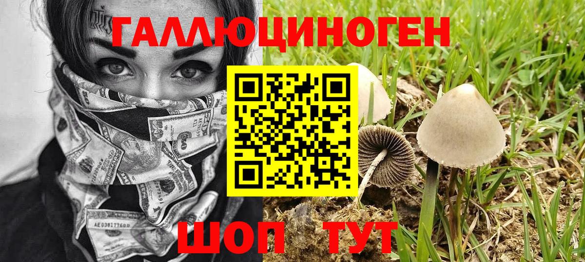 Псилоцибиновые грибы прущие грибы Полевской