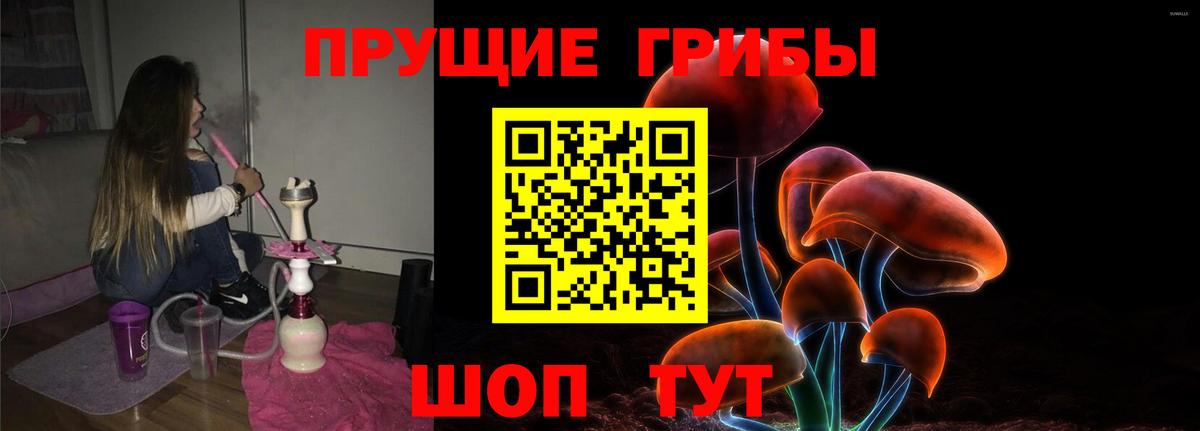 где купить   Галлюциногенные грибы Psilocybine cubensis  Вход с VPN  Полевской 